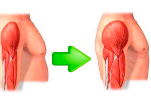 Lee más sobre el artículo ALIMENTACIÓN PARA LA HIPERTROFIA MUSCULAR