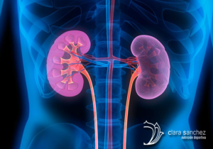 Lee más sobre el artículo Dieta para la insuficiencia renal crónica